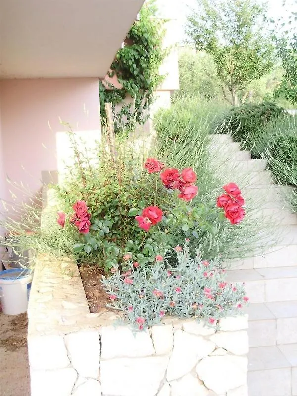 Apartment In Okrug Gornji With Balcony, Air Conditioning, Wifi, Dishwasher 5048-1 Trogir