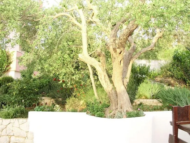 Apartment In Okrug Gornji With Balcony, Air Conditioning, Wifi, Dishwasher 5048-1 Trogir